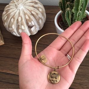 alex and ani gold bracelet